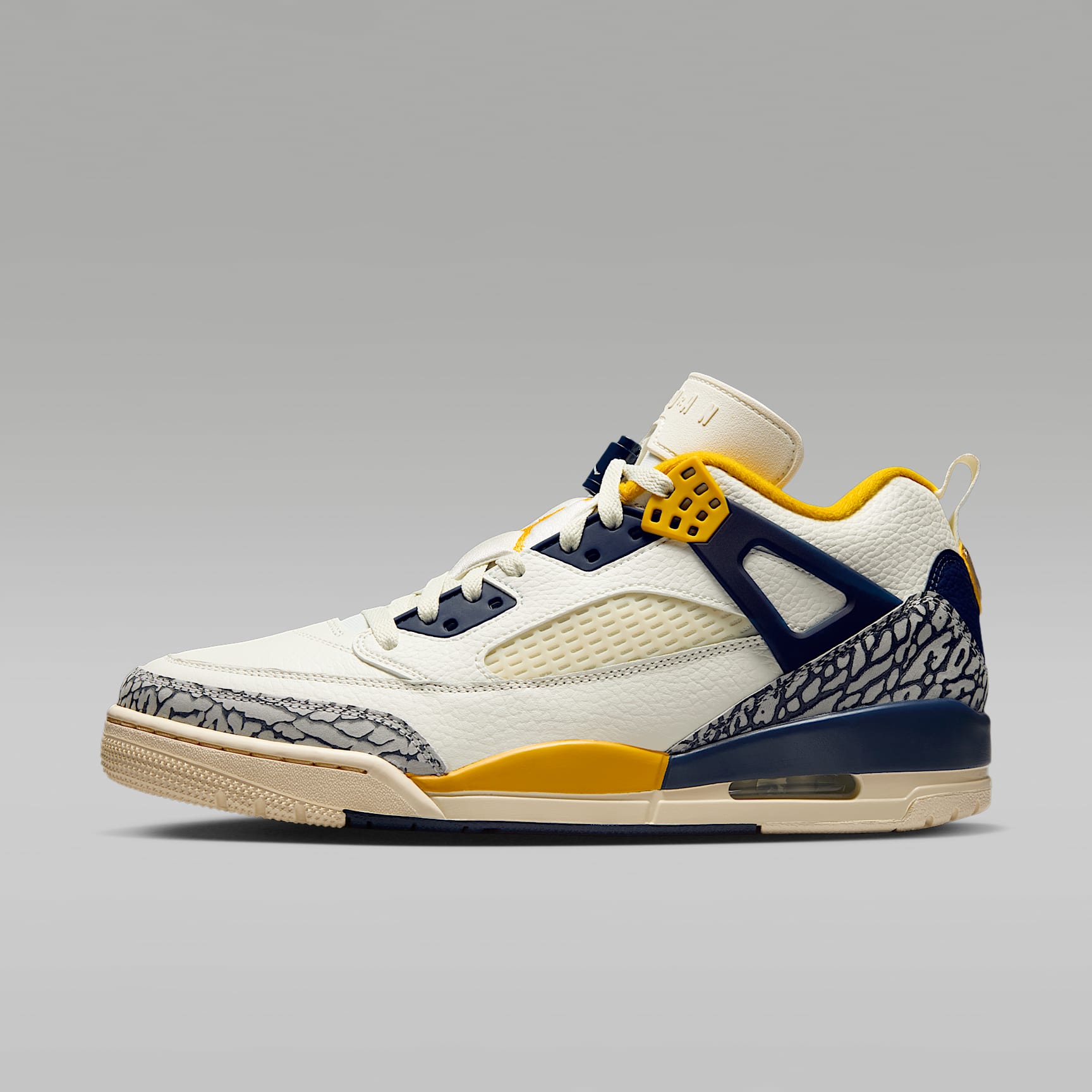Jordan Spizike Low Erkek Ayakkabısı. Nike TR